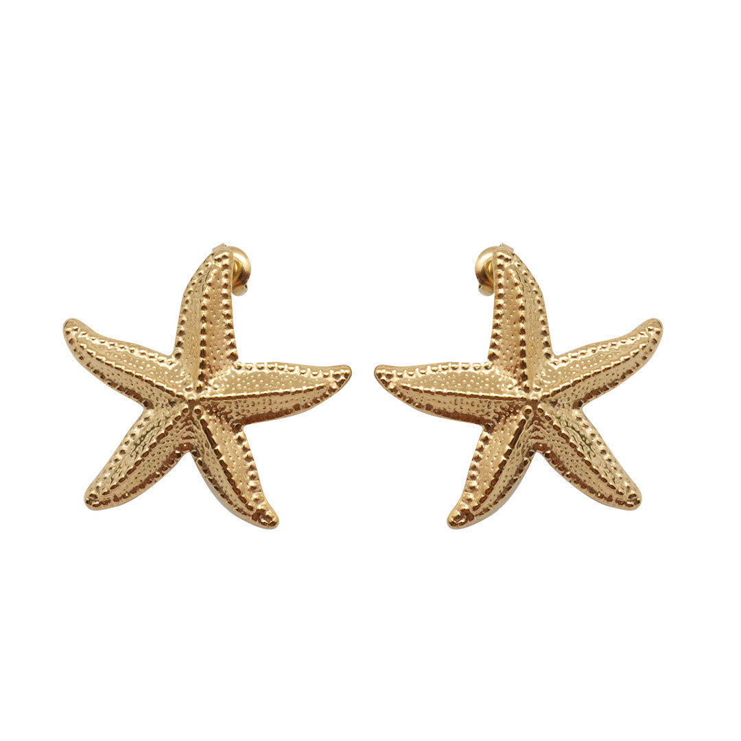 BOUCLES D'OREILLES FINISTERRE - ETOILES DE MER